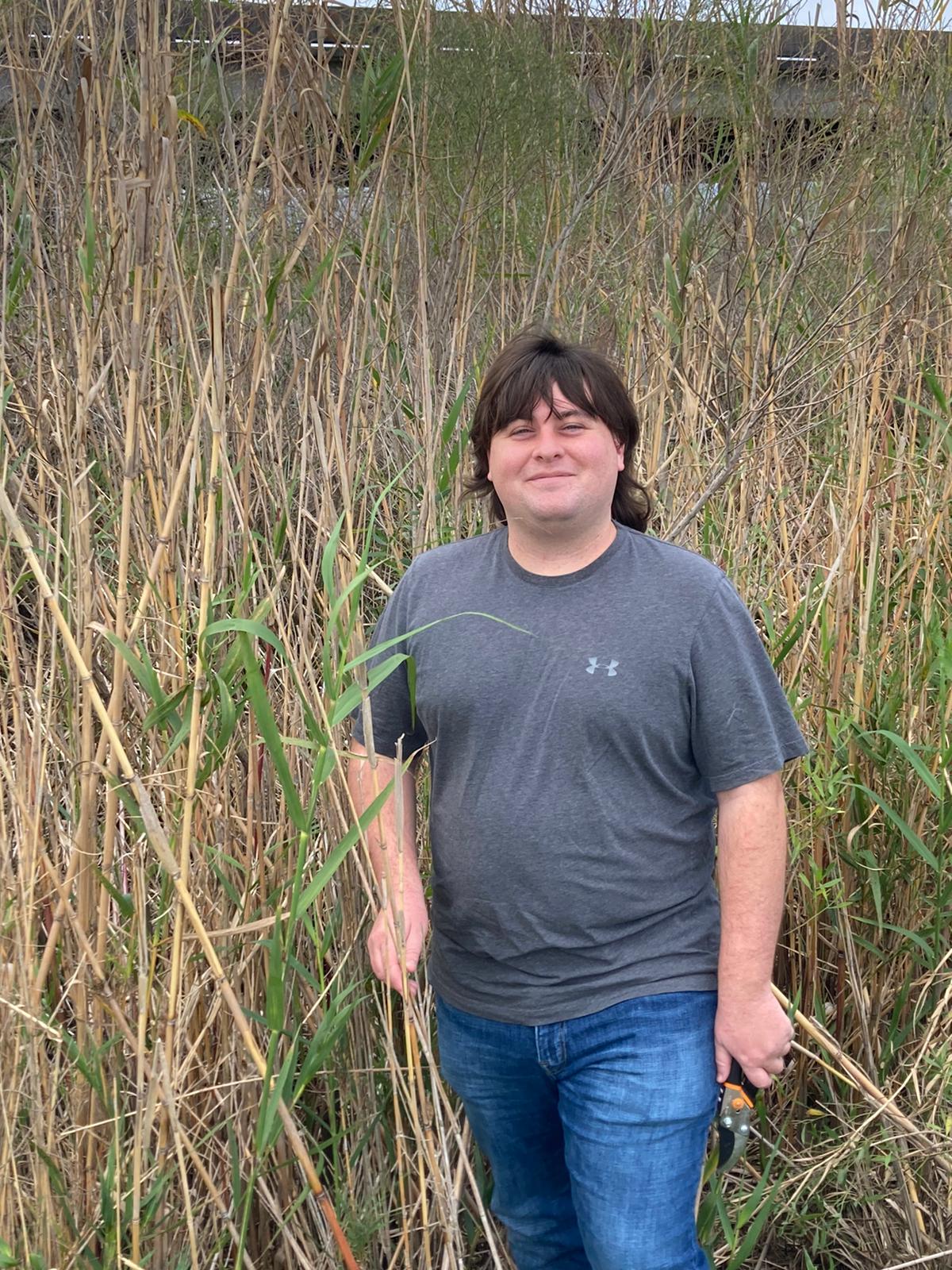 Tanner w Phragmitesjpg